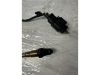 VOLKSWAGEN SHARAN,  POLO,  CADDY,  LUPO | SEAT INCA,  ALHAMBRA,  AROSA,  CORDOBA | AUDI TT,  A3 - 2003 - 030906262G - lambdaszonda