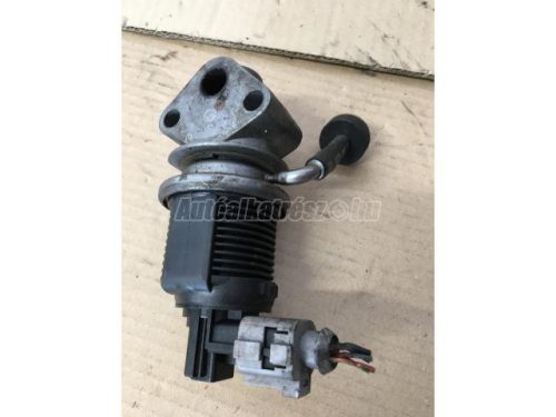 VOLKSWAGEN GOLF IV,  LUPO,  BORA,  GOLF,  POLO | SEAT IBIZA,  CORDOBA,  LEON,  AROSA,  TOLEDO | AUDI A2 | SKODA FABIA - 1999 - 036131503T - AGR-szelep