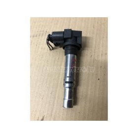   VOLKSWAGEN GOLF IV,  GOLF,  BORA,  POLO,  NEW BEETLE | AUDI A2 | SEAT LEON,  TOLEDO | SKODA OCTAVIA,  FABIA - 2002 - 036905715E - gyújtótekercs egység