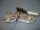 FORD FOCUS - 2002/03 - 0390201552, XS41N17K441AA - ablaktörlő motor