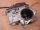 AUDI A3 | SEAT AROSA,  LEON,  ALTEA | VOLKSWAGEN PASSAT,  GOLF V,  TOURAN - 2007 - 03G131501 - AGR-szelep