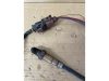 AUDI A4 | VOLKSWAGEN TOUAREG - 2007 - 059906262E  - lambdaszonda