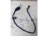 VOLKSWAGEN SHARAN,  TRANSPORTER,  PASSAT | AUDI A3,  A4,  A6 | SEAT TOLEDO,  LEON - 2000 - 06A906262AF - lambdaszonda