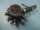 FORD FOCUS - 2002 - 1S4Q9D280AC - common rail cső