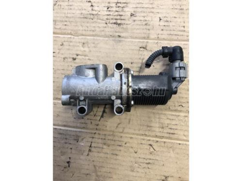 OPEL ZAFIRA,  ASTRA H,  ASTRA | FIAT PUNTO,  CROMA,  SEDICI | ALFA ROMEO 159 - 2007 - 55215032 - AGR-szelep