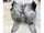SEAT IBIZA,  CORDOBA - 2005 - 6L0809957C - burkolat, kerékjárat