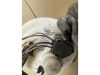 TOYOTA YARIS - 2004 - 770200D010A  - benzinpumpa