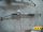 OPEL ZAFIRA B - 2007 - 7831985180 - kormánymű