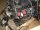 VOLKSWAGEN PASSAT V - 2003 - AVF - diesel motor