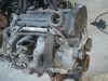 FORD FOCUS - 2002 - EDDC - benzin motor
