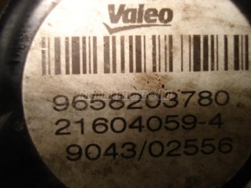 PEUGEOT 206,  1007,  107 | FORD FIESTA | CITROEN C2,  C1 | TOYOTA AYGO - 2005/02 - 9658203780 - AGR-szelep