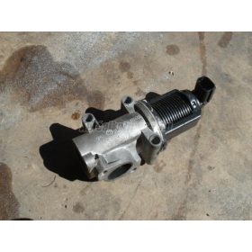   FIAT PUNTO,  DOBLO,  IDEA,  PALIO,  BRAVO | LANCIA MUSA - 2004 - 46530857 - AGR-szelep