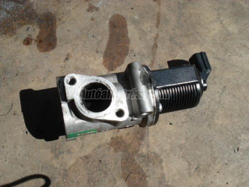 FIAT PUNTO,  DOBLO,  IDEA,  PALIO,  BRAVO | LANCIA MUSA - 2004 - 46530857 - AGR-szelep