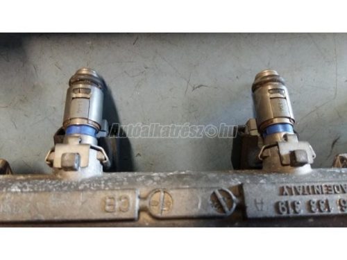 VOLKSWAGEN POLO,  LUPO,  GOLF IV,  GOLF,  BORA | SEAT IBIZA,  CORDOBA,  AROSA,  LEON,  TOLEDO - 2000 - 036906031A - befecskendező szelep