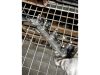 VOLKSWAGEN POLO,  LUPO,  GOLF IV,  GOLF,  BORA | SEAT IBIZA,  CORDOBA,  AROSA,  LEON,  TOLEDO - 2000 - 036906031A - befecskendező szelep