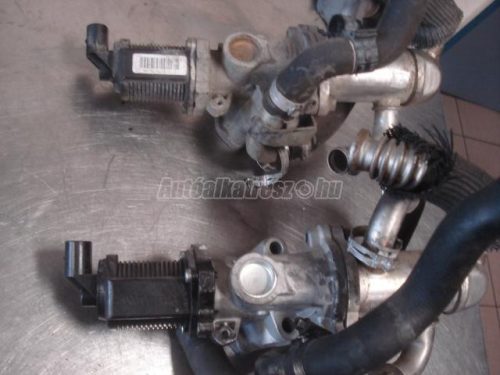 FIAT DOBLO,  PUNTO,  IDEA,  LINEA | OPEL CORSA,  ASTRA,  ASTRA H,  CORSA D | LANCIA YPSILON,  MUSA - 2007 - 55192348 - AGR-szelep