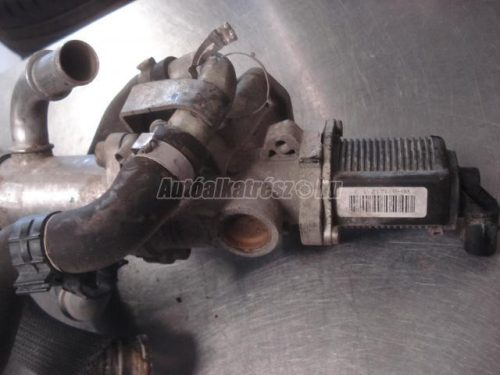 FIAT DOBLO,  PUNTO,  IDEA,  LINEA | OPEL CORSA,  ASTRA,  ASTRA H,  CORSA D | LANCIA YPSILON,  MUSA - 2007 - 55192348 - AGR-szelep