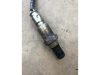 VOLKSWAGEN GOLF V,  GOLF PLUS,  TOURAN,  CADDY,  POLO,  JETTA,  GOLF VI | SKODA ROOMSTER,  OCTAVIA,  FABIA | SEAT CORDOBA - 2010 - 036906262AA - lambdaszonda