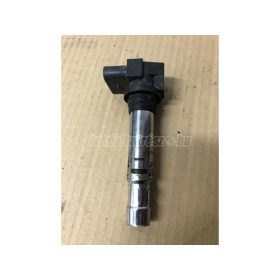   VOLKSWAGEN GOLF IV,  LUPO,  BORA,  GOLF,  POLO IV | AUDI A2 | SKODA FABIA,  OCTAVIA | SEAT LEON,  TOLEDO - 2000 - 0040102030 - gyújtótekercs