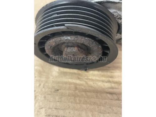 FORD FOCUS,  PUMA,  FIESTA,  FUSION,  FOCUS C-MAX | MAZDA 2 - 2000 - 98MF3C631CF - Szíjfeszítő, hosszbordás szíj