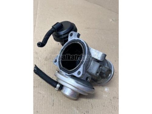 VOLKSWAGEN CADDY,  POLO,  GOLF IV,  NEW BEETLE,  BORA,  LUPO | AUDI A3,  A4 | SKODA OCTAVIA | SEAT INCA,  TOLEDO - 1999 - 038131501E  - AGR-szelep
