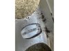 AUDI A6 - Petlas téli 205/55R16 91 H TL  / Gyári alufelni 16x7 - AUDI A6 C5