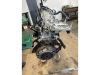 FIAT GRANDE PUNTO,  GRANDE PUNTO - 2010 - 169A4000 - benzin motor
