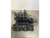 FIAT GRANDE PUNTO - 2010 - 55246849 - szívósor