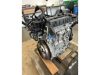 FORD FOCUS - 2007 - SIDA - benzin motor